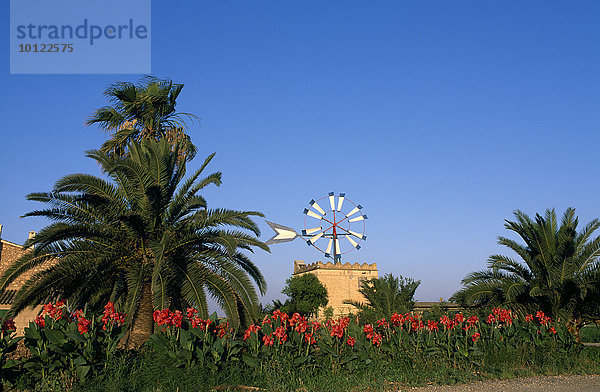 Windmühle  Lluc Major  Mallorca  Balearen  Spanien  Europa