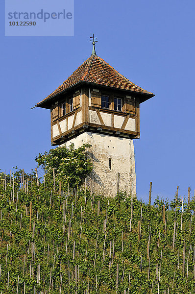 Turm am Lerchenberg  Winzerturm in den Weinbergen  bei Meersburg  Baden-Württemberg  Deutschland  Europa