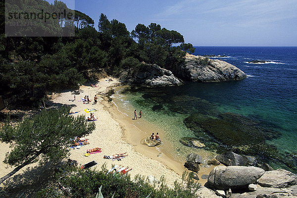 Blick in die Bucht Cala Pi  Costa Brava  Katalonien  Spanien  Europa