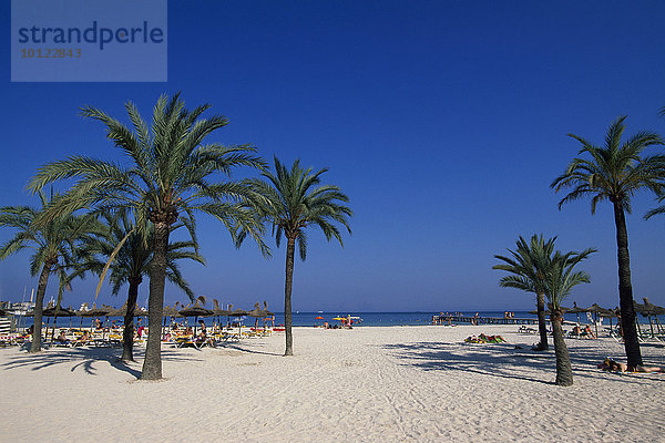 Strand von Alcudia  Mallorca  Balearen  Spanien  Europa