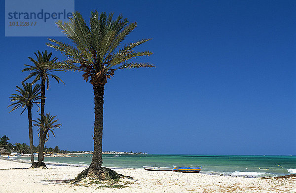 Seguia Beach  Djerba  Tunesien  Afrika