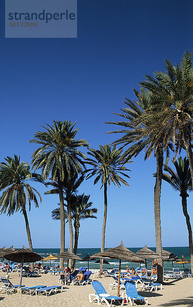 Strand  Oase Zarzis  Djerba  Tunesien  Afrika