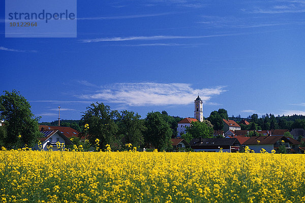 Ortsansicht von Bad Birnbach im Rottal  Niederbayern  Deutschland  Europa