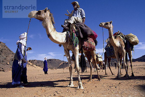 Touristen mit Kamelen und Tuareg bei einer Meharee in Libyen  Sahara  Afrika