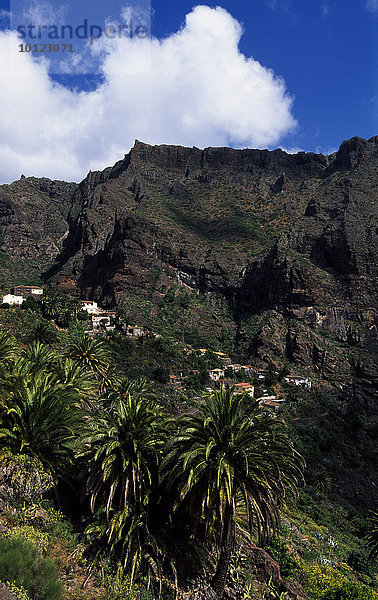 Masca  Teno-Gebirge  Teneriffa  Kanarische Inseln  Spanien  Europa