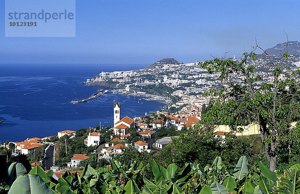 Funchal  Madeira  Portugal  Europa