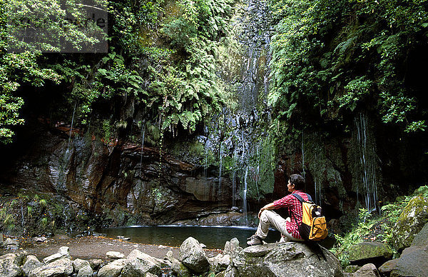 Wandern zu den Levada das 25 Fontes  Rabacal  Madeira  Portugal  Europa