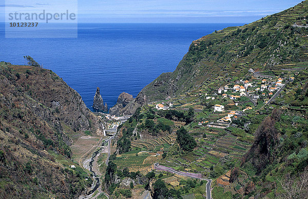 Blick aufs Meer und die Ilheus da Ribeira da Janela  Madeira  Portugal  Europa