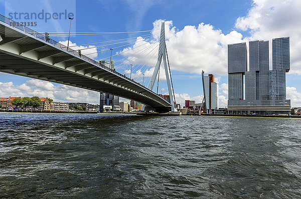 Skyline mit Erasmusbrücke oder Erasmusbrug  über die Neue Maas  Rotterdam  Holland  Niederlande  Europa