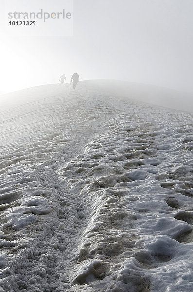 Bergsteiger verschwinden im Nebel  Triftgletscher  West-Nord-West-Flanke  Weissmies  Saastal  Walliser Alpen  Schweiz  Europa