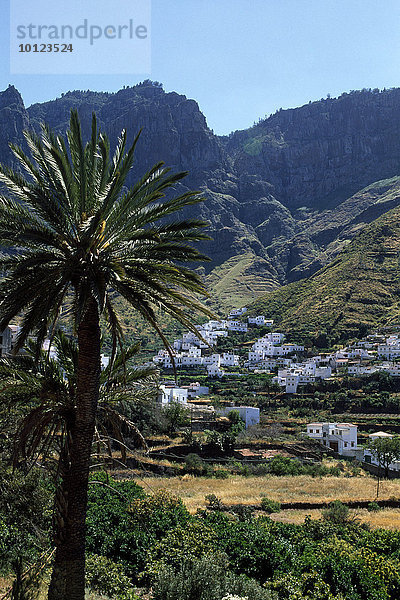 Agaete Tal  Gran Canaria  Kanaren  Spanien  Europa