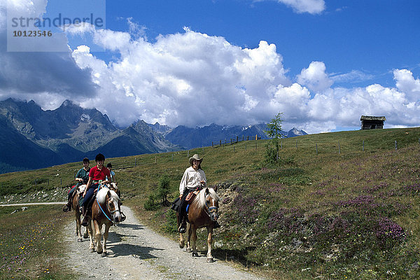 Reiten im Mölltal  Hohe Tauern  Kärnten  Österreich  Europa