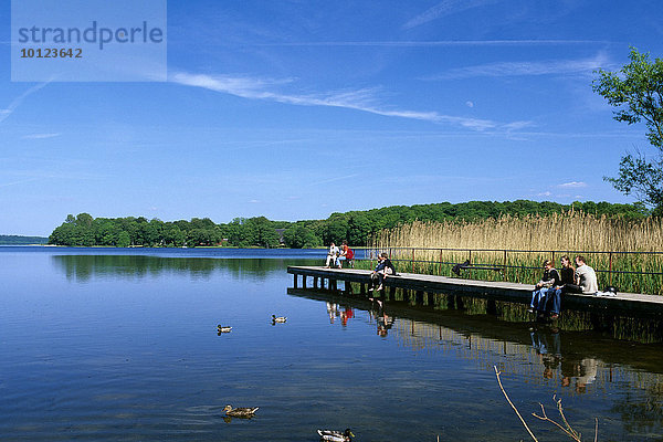 Naturpark Westensee  Schleswig-Holstein  Deutschland  Europa