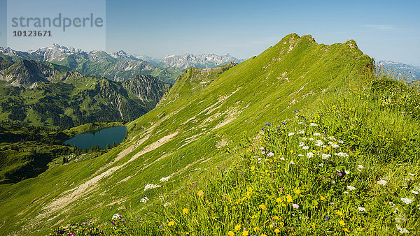Ausblick vom Zeigersattel zum Seealpsee  Allgäuer Alpen  Allgäu  Bayern  Deutschland  Europa
