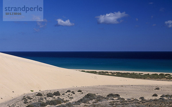 Sanddüne bei den Playas de Sotavento  Fuerteventura  Kanarische Inseln  Spanien  Europa