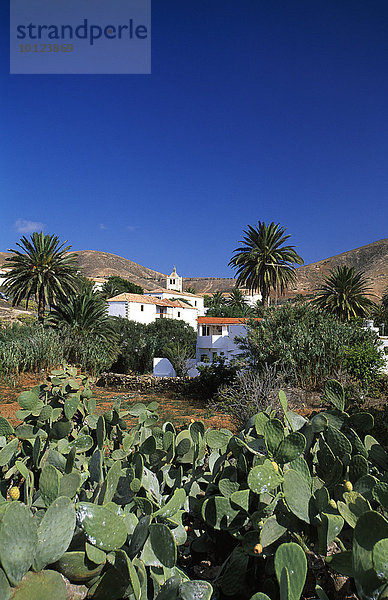 Bergdorf Betancuria auf Fuerteventura  Kanarische Inseln  Spanien  Europa