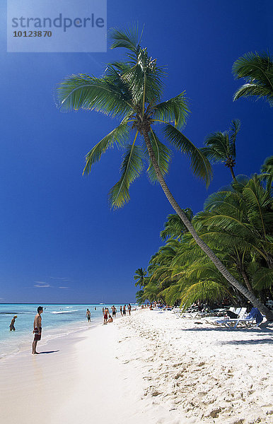 Palmenstrand auf der Insel Saona  Parque Nacional del Este  Dominikanische Republik  Karibik  Nordamerika
