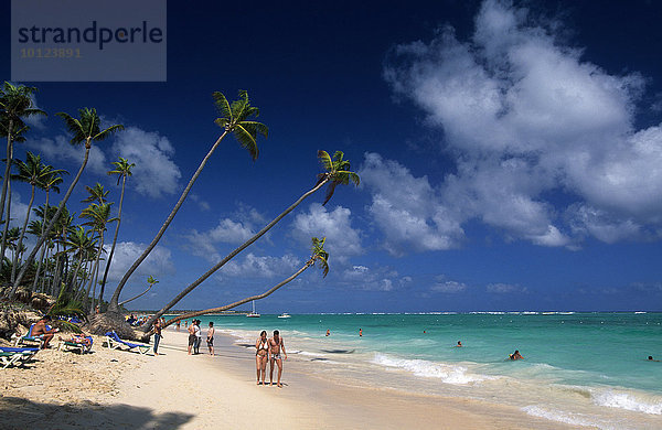 Palmenstrand Playa Bavaro bei Punta Cana  Dominikanische Republik  Karibik  Nordamerika