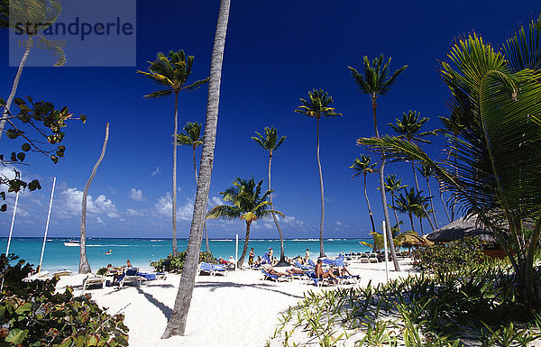 Palmenstrand Playa Bavaro  Punta Cana  Dominikanische Republik  Karibik  Nordamerika