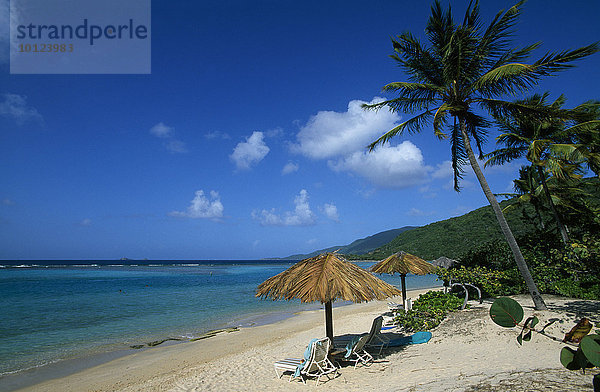 Palmenstrand  Little Dix Bay Resort  Virgin Gorda  Britische Jungferninseln  Karibik  Nordamerika
