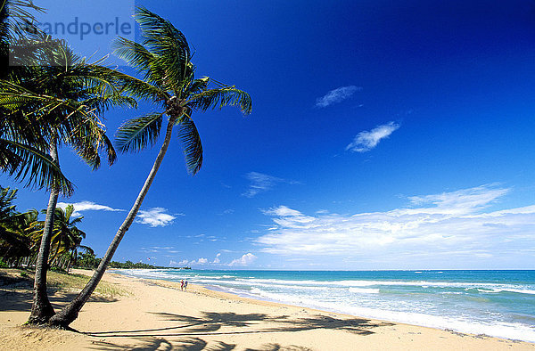Strand mit Palmen  Coco Beach bei Rio Grande  Puerto Rico  Karibik  Nordamerika