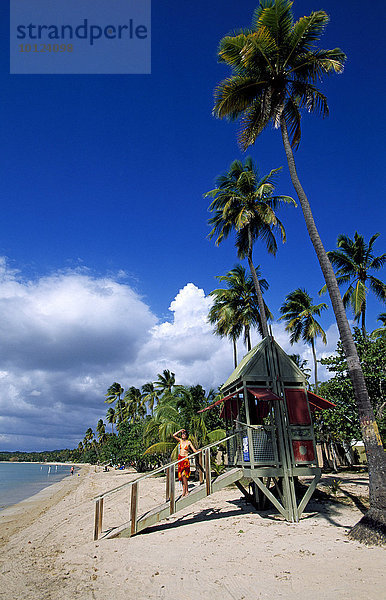 Strand mit Palmen  Boqueron Beach  Puerto Rico  Karibik  Nordamerika