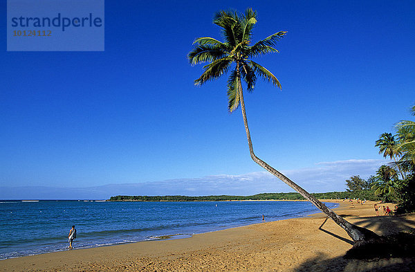 Strand mit Palmen  Tres Palmitas Beach bei Loiza  Puerto Rico  Karibik  Nordamerika