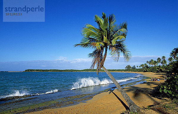 Strand mit Palmen  Tres Palmitas Beach bei Loiza  Puerto Rico  Karibik  Nordamerika