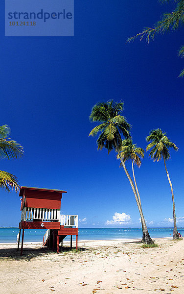 Strand mit Palmen  Luquillo Beach  Puerto Rico  Karibik  Nordamerika