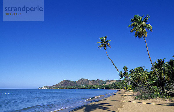 Strand mit Palmen  Tres Hermanos Beach  Anasco  Puerto Rico  Karibik  Nordamerika
