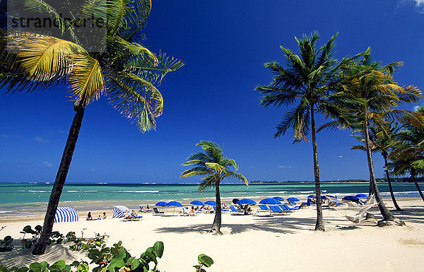 Strand mit Palmen bei San Juan  Puerto Rico  Karibik  Nordamerika