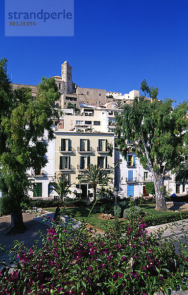 Dalt Vila  Altstadt  Ibiza-Stadt  Ibiza  Balearen  Spanien  Europa
