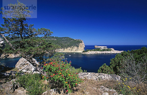 Küste bei Sant Miguel  Ibiza  Balearen  Spanien  Europa