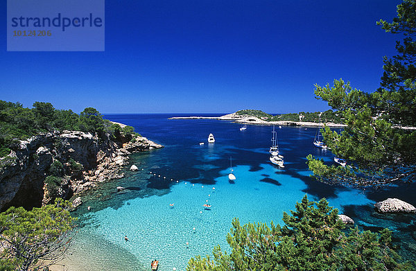 Bucht bei Portinatx  Ibiza  Balearen  Spanien  Europa