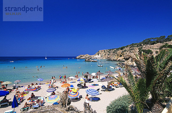 Strand an der Cala Tarida  Ibiza  Balearen  Spanien  Europa