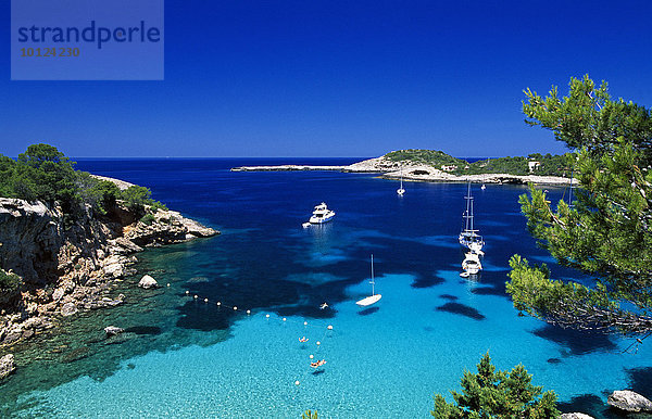Bucht bei Portinatx  Ibiza  Balearen  Spanien  Europa