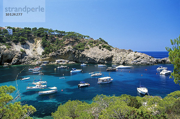 Segelboote in der Cala Vadella  Ibiza  Balearen  Spanien  Europa