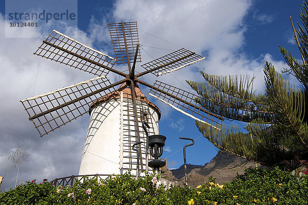 Windmühle auf Gran Canaria  Kanaren  Spanien  Europa