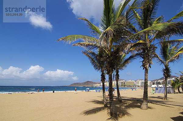 Playa de las Canteras in Las Palmas  Gran Canaria  Kanarische Inseln  Spanien  Europa