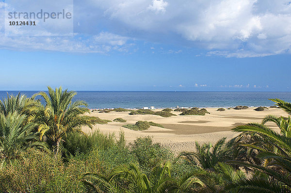 Sanddünen von Maspalomas  Gran Canaria  Kanarische Inseln  Spanien  Europa