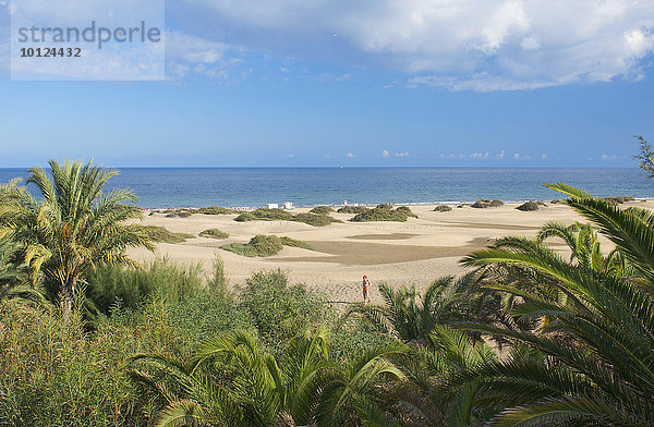 Sanddünen von Maspalomas  Gran Canaria  Kanarische Inseln  Spanien  Europa