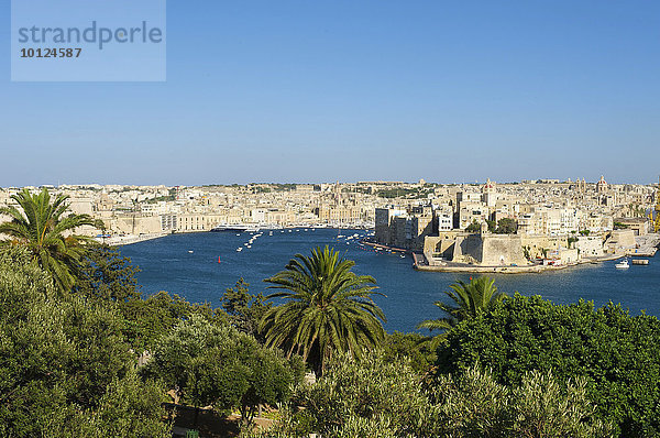 Blick von Valletta auf Vittoriosa  Malta  Europa