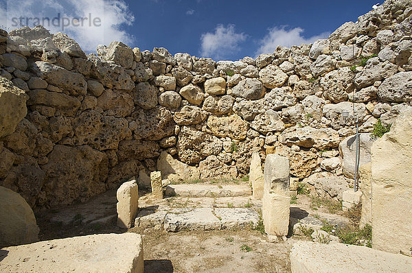 Ggantija Tempel auf der Insel Gozo  Malta  Europa