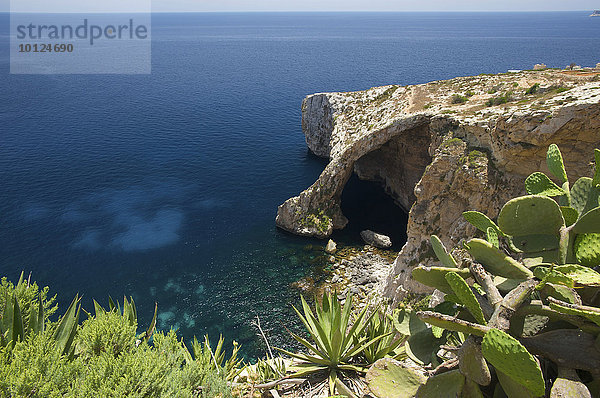 Blaue Grotte auf Malta  Europa