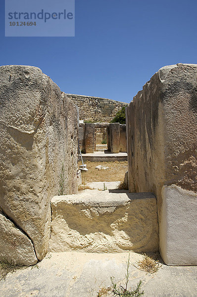 Tempel von Tarxien bei Valletta  Malta  Europa