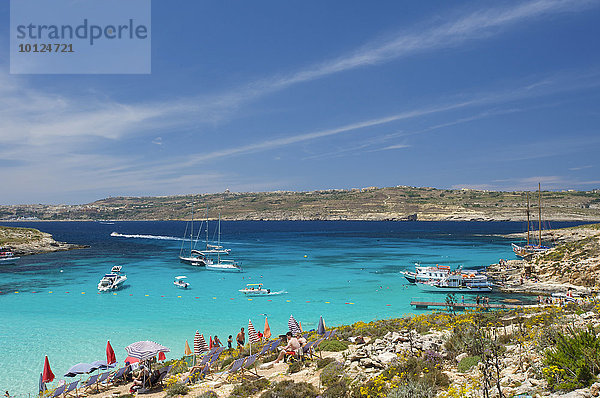 Blaue Lagune von Comino  Malta  Europa