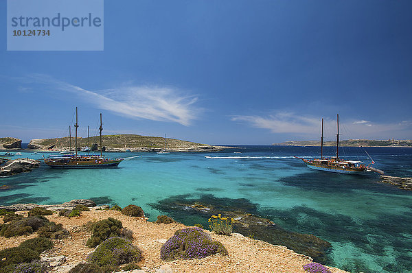 Ausflugsschiffe in der Blauen Lagune von Comino  Malta  Europa