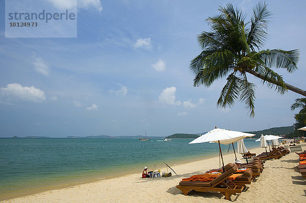 Mae Nam Beach  Insel Ko Samui  Thailand  Asia  Asien