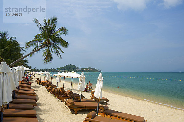 Mae Nam Beach  Insel Ko Samui  Thailand  Asia  Asien