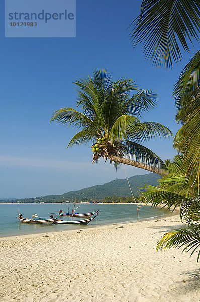 Lamai Beach  Insel Ko Samui  Thailand  Asia  Asien